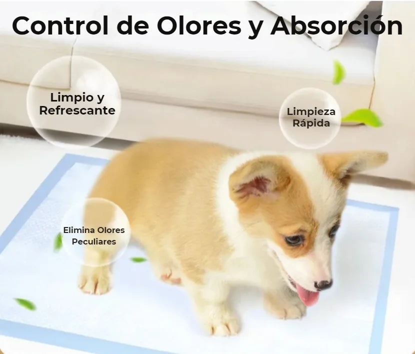 Almohadillas absorbentes desechables ultra absorbentes para perros y mascotas, con una construcción de 5 capas, material no tóxico de secado rápido y base a prueba de fugas, ideales para el entrenamiento en interiores. Tamaños disponibles: 46/70/92/105/14