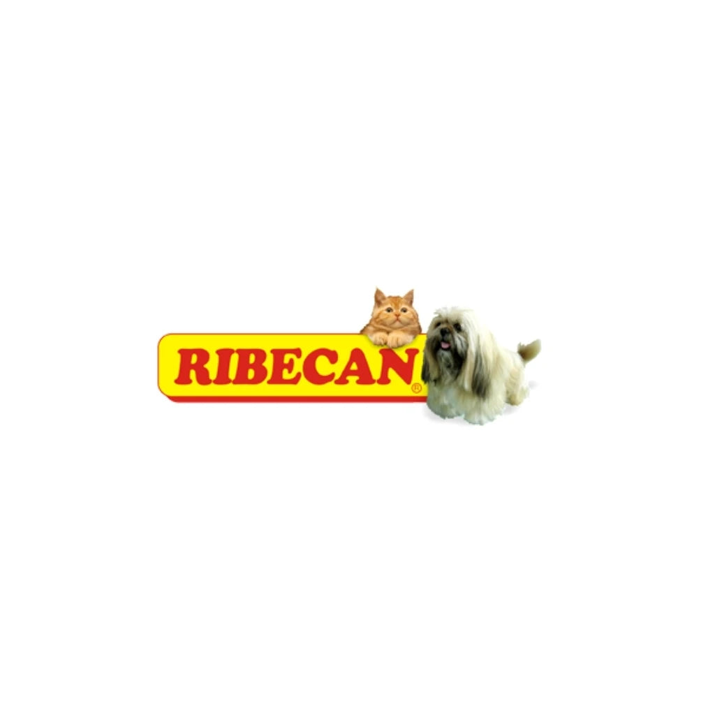 RIBECAN - Transportín pequeño (50x33x33 cm) para perros y gatos pequeños/mini, homologado por IATA, peso aproximado 1,80 kg, caja de transporte ideal.