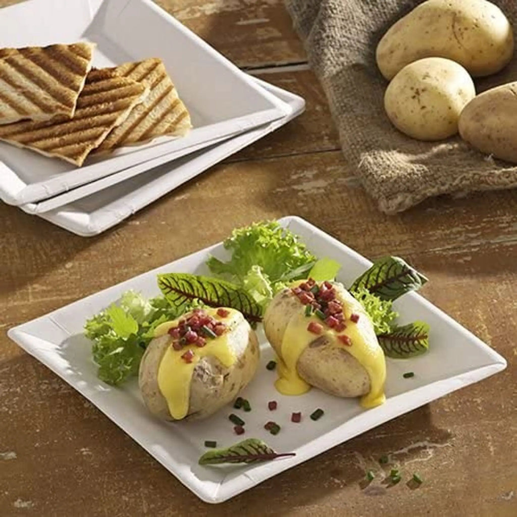 Algon - juego de platos rectangulares desechables de cartón blanco de 18 cm - 100 unidades - resistentes y ecológicos