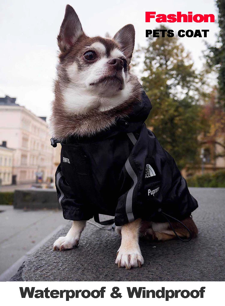 Abrigo impermeable para perros, chubasquero reflectante para perros, ropa de exterior para perros, chaqueta con capucha para perros pequeños, medianos y grandes. Suministros para mascotas.
