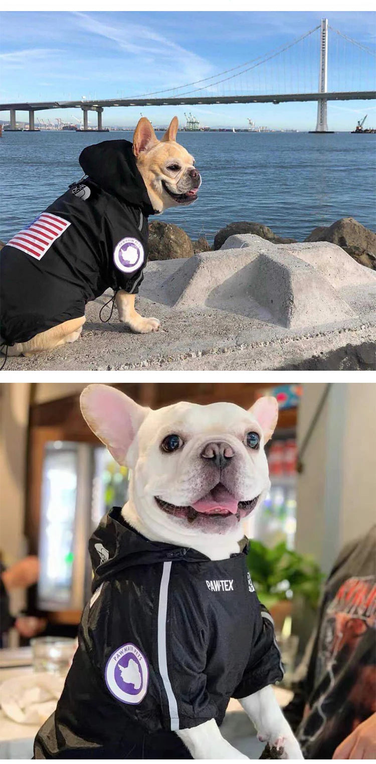 Abrigo impermeable para perros, chubasquero reflectante para perros, ropa de exterior para perros, chaqueta con capucha para perros pequeños, medianos y grandes. Suministros para mascotas.