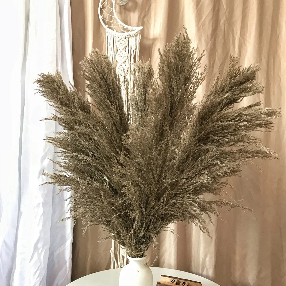 Pluma grande de 110-120 cm, hierba de la pampa seca y esponjosa, decoración de boda bohemia al por mayor, flor natural real, decoración del hogar, decoración de jardín