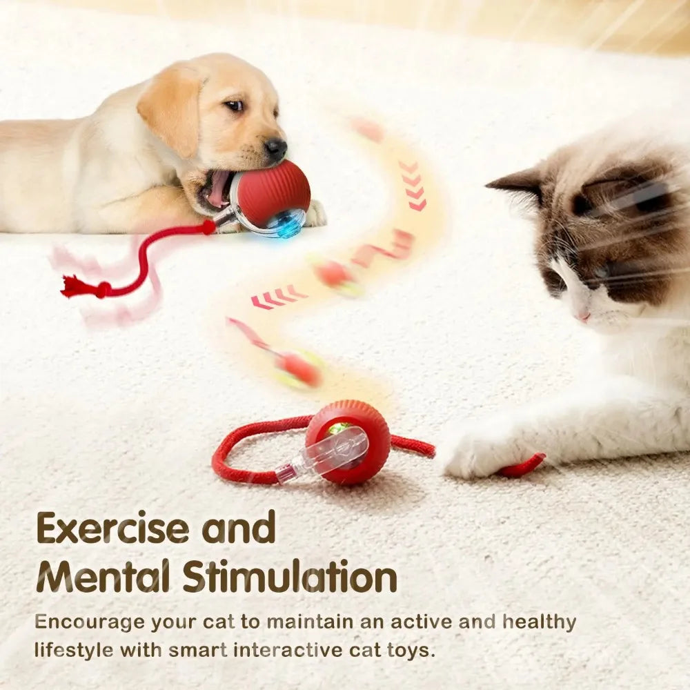 LEMEENQ Juguete interactivo para gatos, pelota auto-rodante con cola, recargable, juguete inteligente interactivo para mascotas, ratón inteligente para gatos