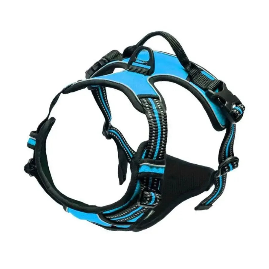Collares, arneses, chalecos grandes, correas, tienda de mascotas, todo para perros, accesorios de cuero para cachorros, conjunto mediano y pequeño.
