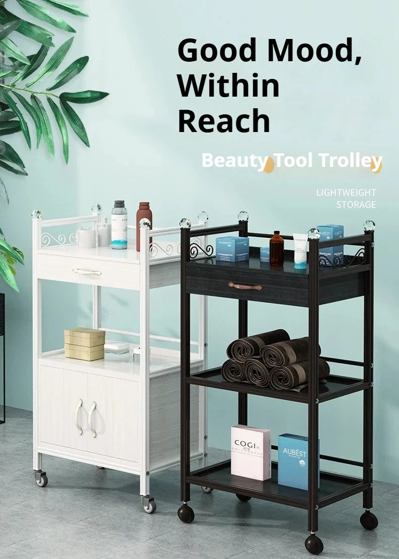 Beech Trolley Salon Hair Equipment Wheels Spa Beauty Furniture Machine Laser Black Roulette Storage Hairdressing Stainless Steel