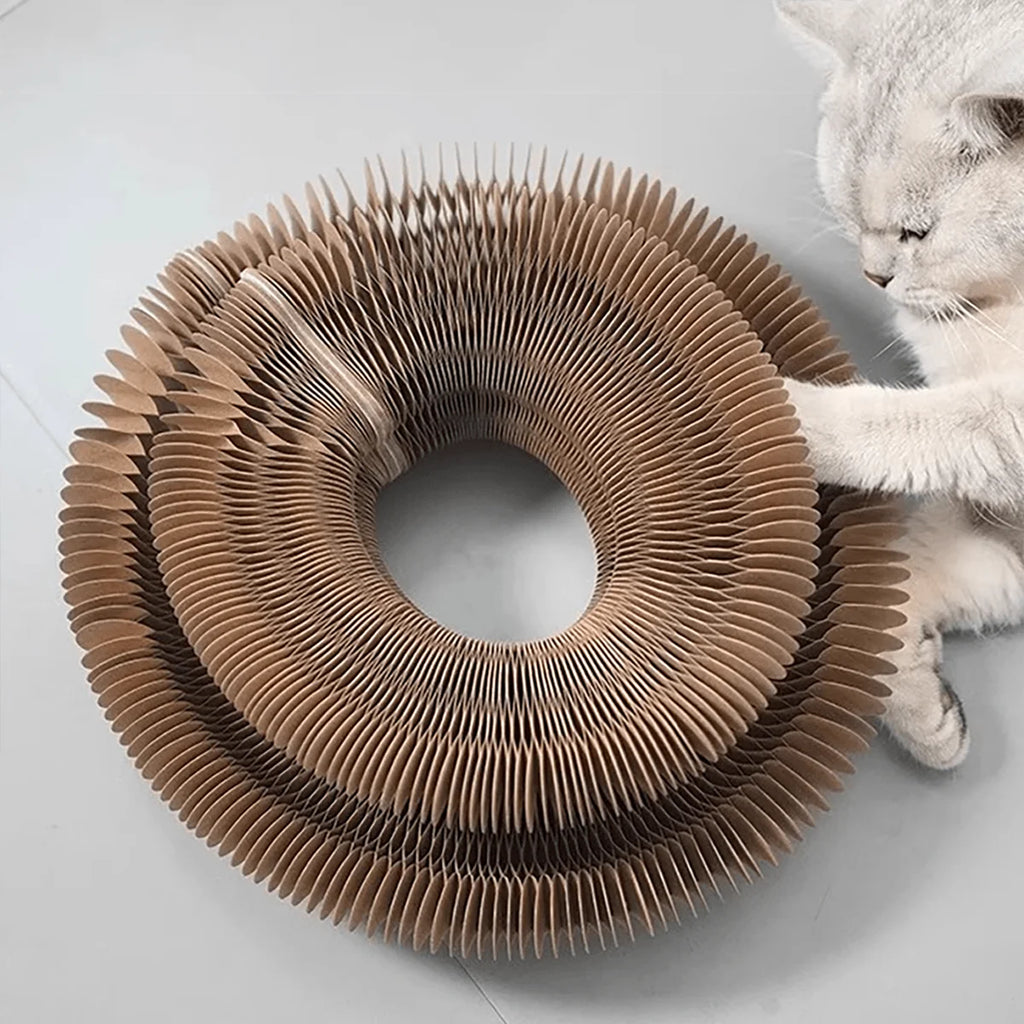 Rascador plegable para gatos con cascabel y hierba gatera - Juguete de cartón multinivel para gatitos, afilador de garras duradero