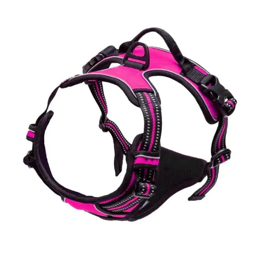Collares, arneses, chalecos grandes, correas, tienda de mascotas, todo para perros, accesorios de cuero para cachorros, conjunto mediano y pequeño.