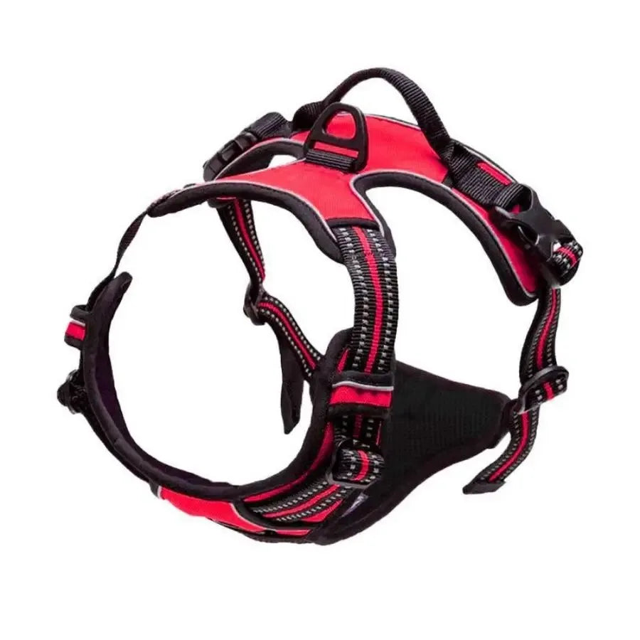 Collares, arneses, chalecos grandes, correas, tienda de mascotas, todo para perros, accesorios de cuero para cachorros, conjunto mediano y pequeño.