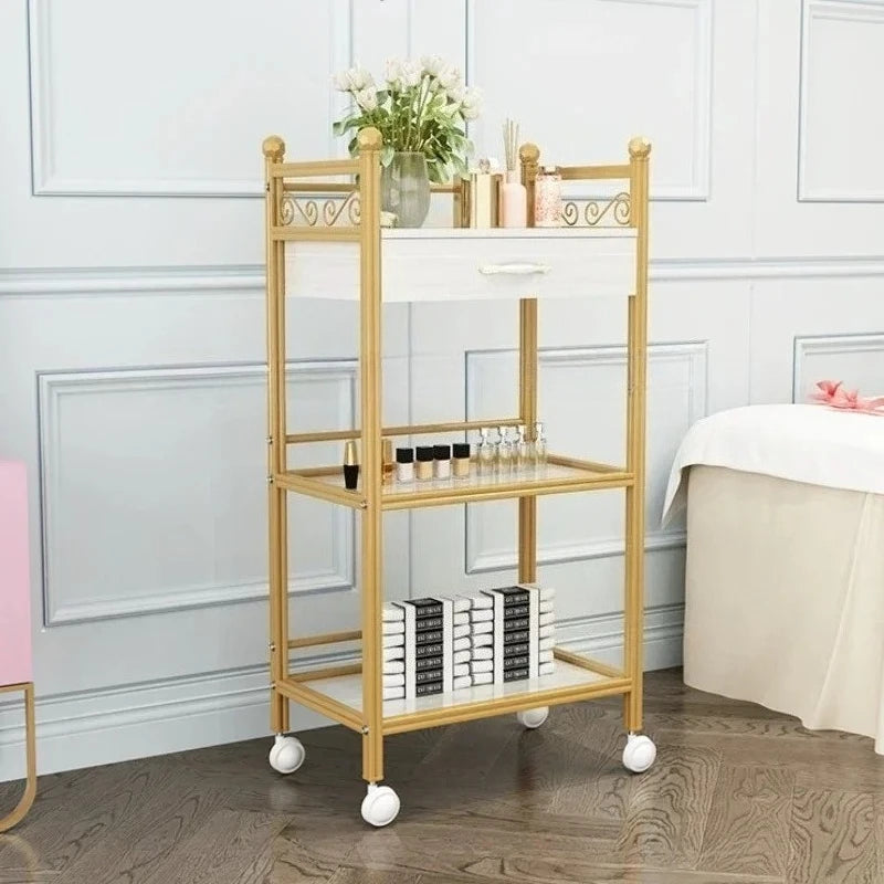 Beech Trolley Salon Hair Equipment Wheels Spa Beauty Furniture Machine Laser Black Roulette Storage Hairdressing Stainless Steel