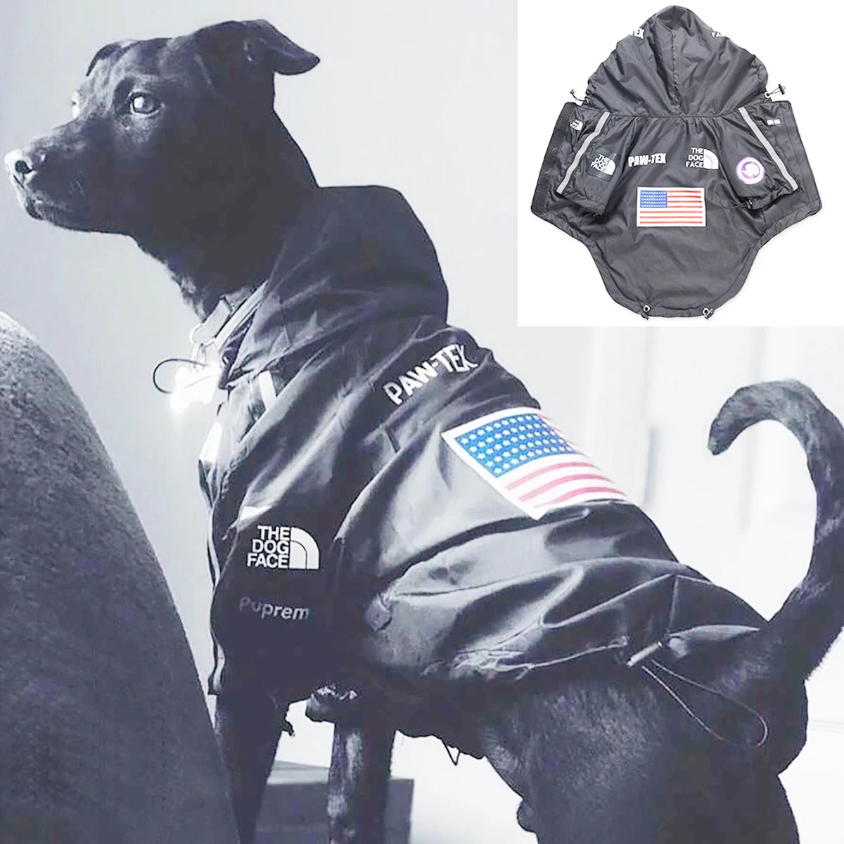 Abrigo impermeable para perros, chubasquero reflectante para perros, ropa de exterior para perros, chaqueta con capucha para perros pequeños, medianos y grandes. Suministros para mascotas.