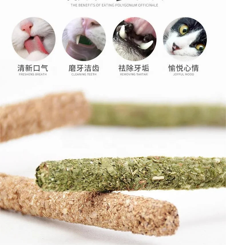 6 palitos de menta Matatabi natural para gatos, ideales para morder y estimular la higiene bucal. Varilla Silvervine para la limpieza dental y el tratamiento de mascotas. Juguetes para gatos.