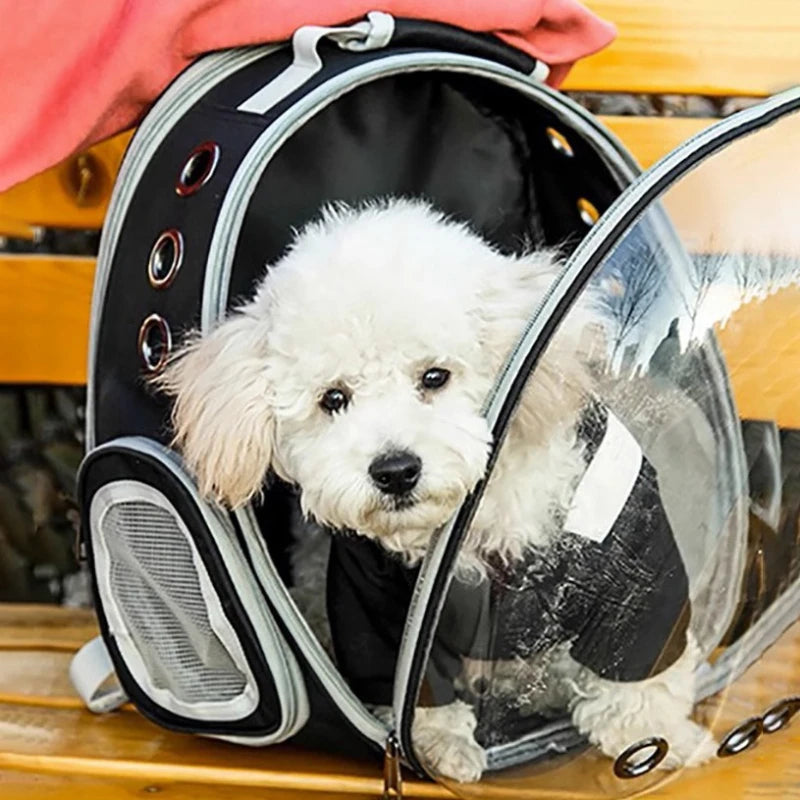 Mochila transportadora para gatos con burbuja transparente de 360° y diseño transpirable: bolsa de viaje espaciosa y ligera para aventuras al aire libre.