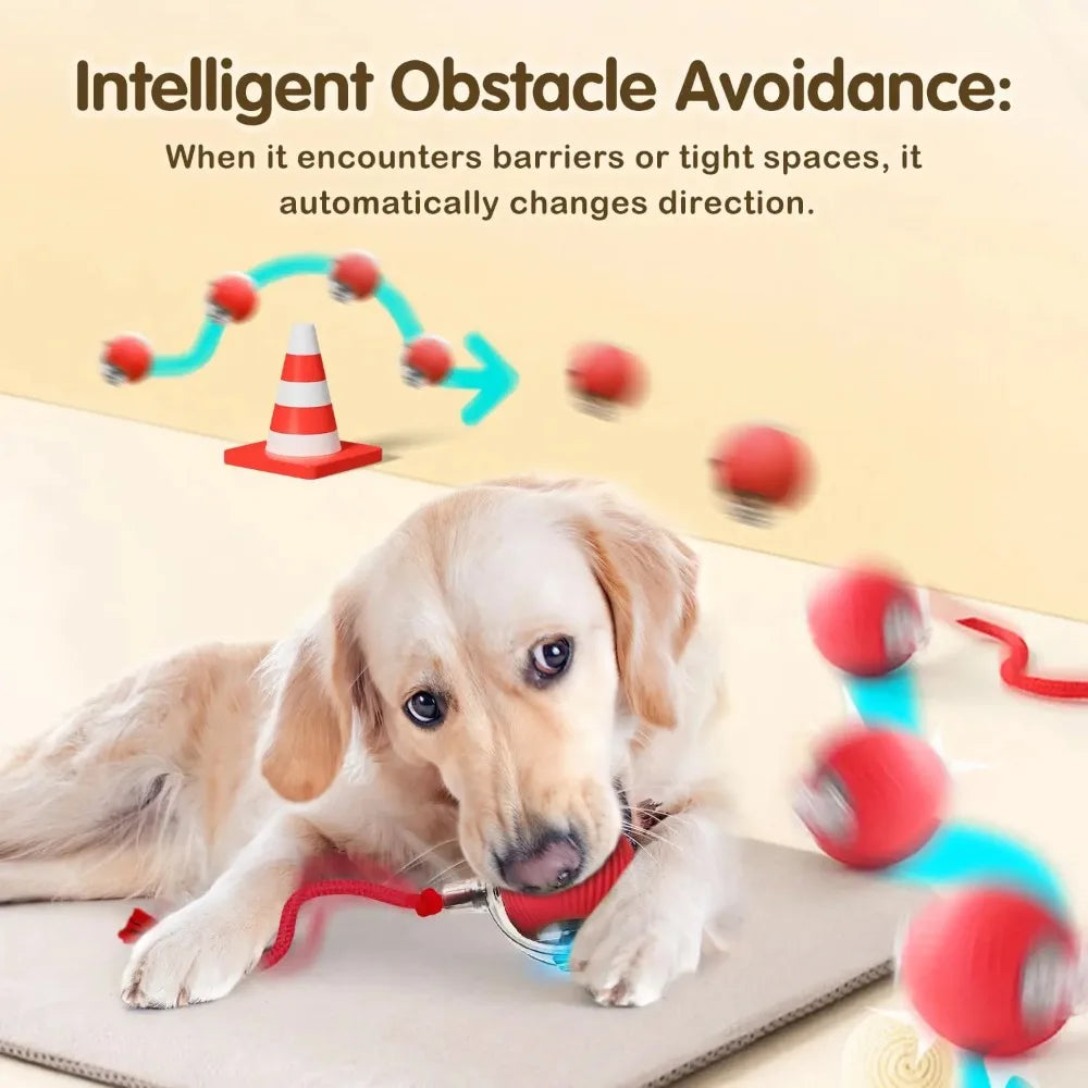 LEMEENQ Juguete interactivo para gatos, pelota auto-rodante con cola, recargable, juguete inteligente interactivo para mascotas, ratón inteligente para gatos