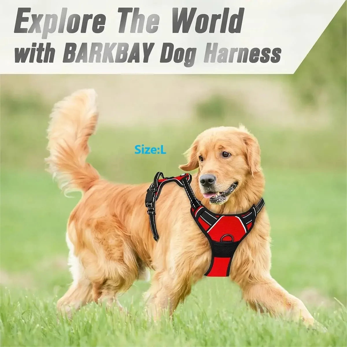 Collares, arneses, chalecos grandes, correas, tienda de mascotas, todo para perros, accesorios de cuero para cachorros, conjunto mediano y pequeño.