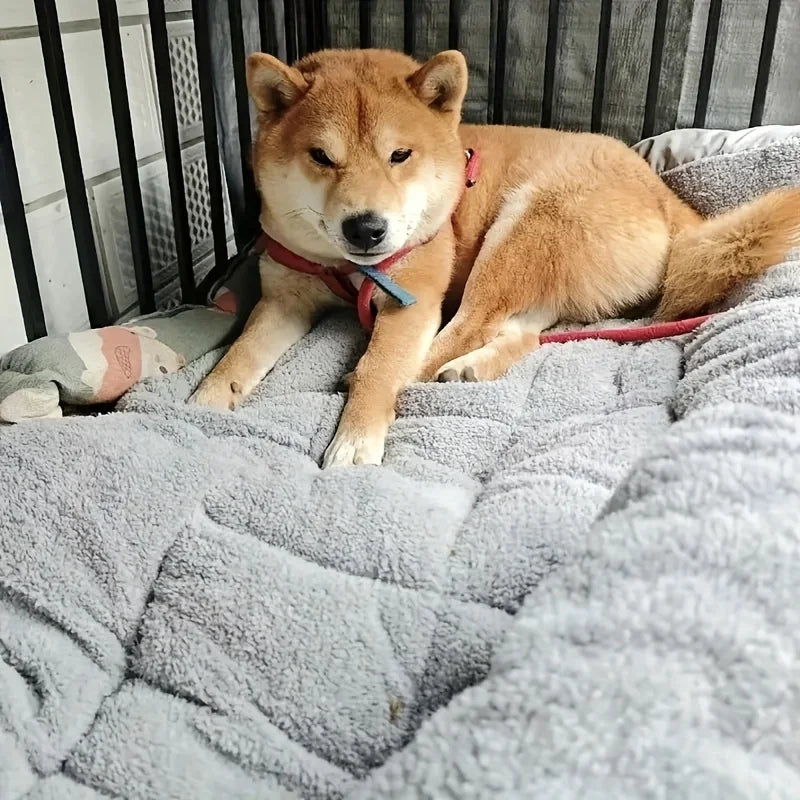 Cama de felpa extragrande para perros y gatos, sofá, colchoneta para jaula, alfombrilla de poliéster ultrasuave para mascotas de todos los tamaños, adorable sofá rectangular.