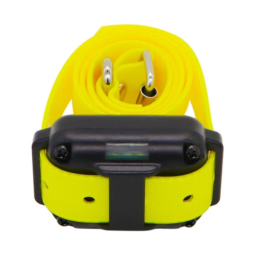Solo collar electrónico Solo collar electrónico