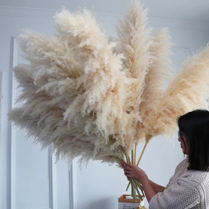 Pluma grande de 110-120 cm, hierba de la pampa seca y esponjosa, decoración de boda bohemia al por mayor, flor natural real, decoración del hogar, decoración de jardín