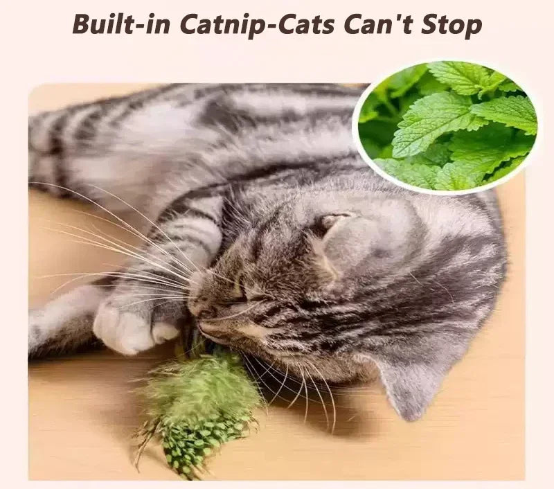Juguete interactivo de pájaros para interiores para gatos, juguete para perseguir y provocar, juguete con sonido de hierba gatera, juguete divertido para gatos, juguete colgante de pared con forma de pájaros.