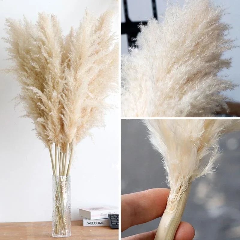 Pluma grande de 110-120 cm, hierba de la pampa seca y esponjosa, decoración de boda bohemia al por mayor, flor natural real, decoración del hogar, decoración de jardín