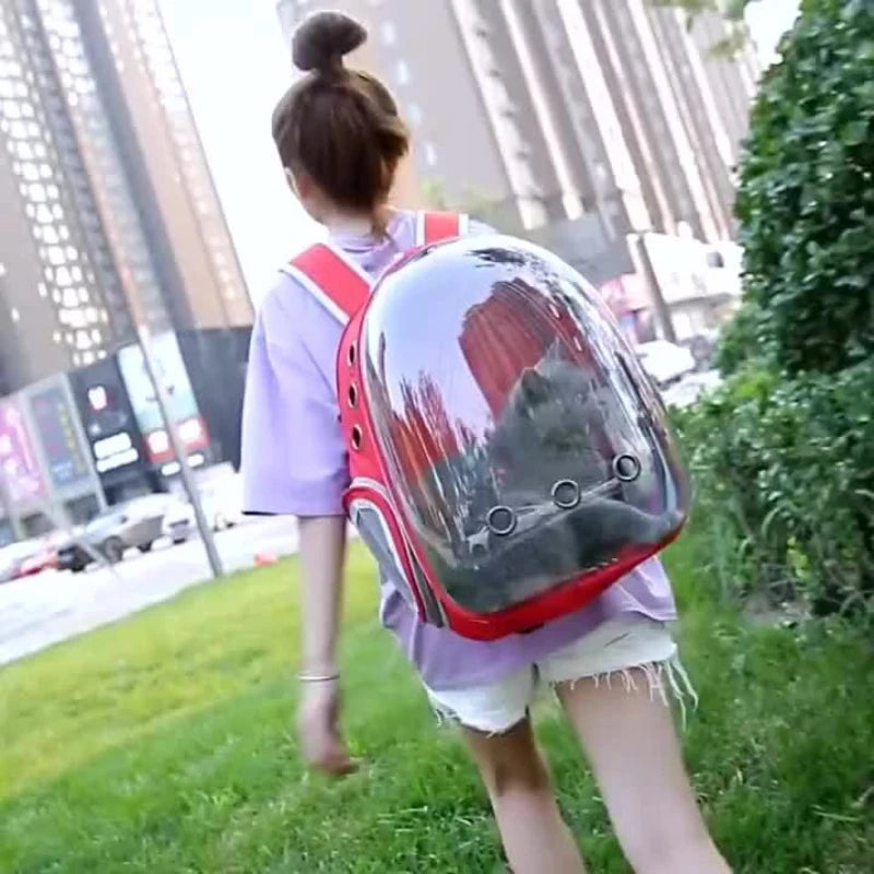 Mochila transportadora para gatos con burbuja transparente de 360° y diseño transpirable: bolsa de viaje espaciosa y ligera para aventuras al aire libre.