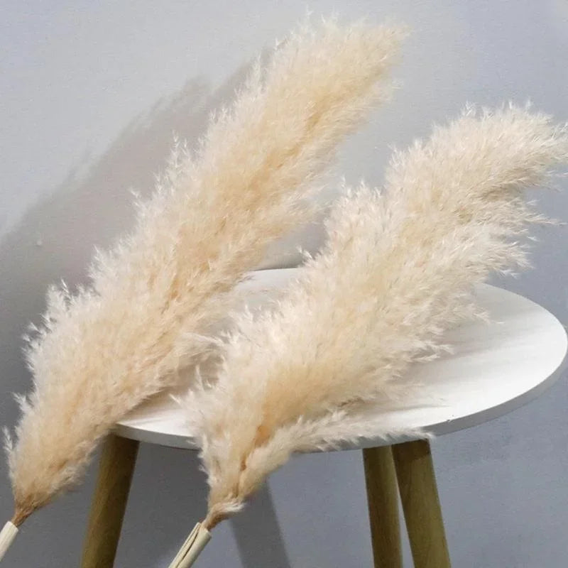 Pluma grande de 110-120 cm, hierba de la pampa seca y esponjosa, decoración de boda bohemia al por mayor, flor natural real, decoración del hogar, decoración de jardín