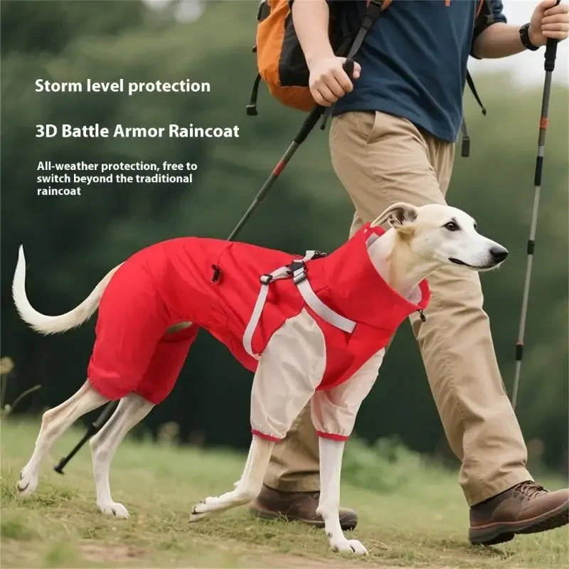 Impermeable para perros con capucha desmontable y puños elásticos para perros pequeños y grandes, ideal para actividades al aire libre y paseos.