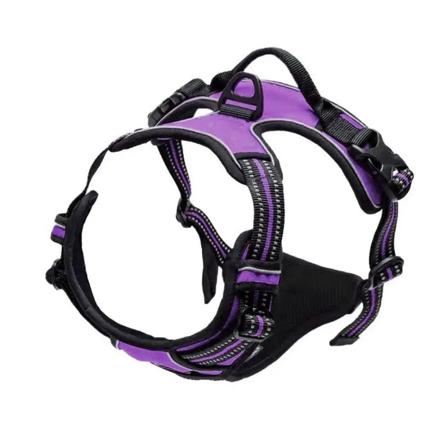 Collares, arneses, chalecos grandes, correas, tienda de mascotas, todo para perros, accesorios de cuero para cachorros, conjunto mediano y pequeño.