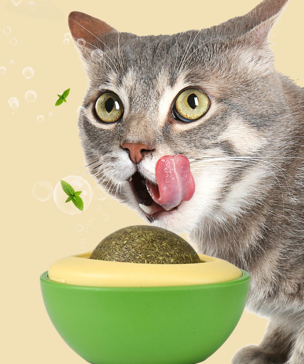 Hierba gatera natural, pelota giratoria adhesiva para pared, juguetes para limpiar los dientes de los gatos, pelota de hierba gatera, suministros para rascadores de hierba gatera