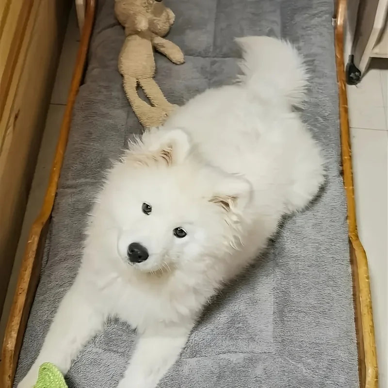 Cama de felpa extragrande para perros y gatos, sofá, colchoneta para jaula, alfombrilla de poliéster ultrasuave para mascotas de todos los tamaños, adorable sofá rectangular.