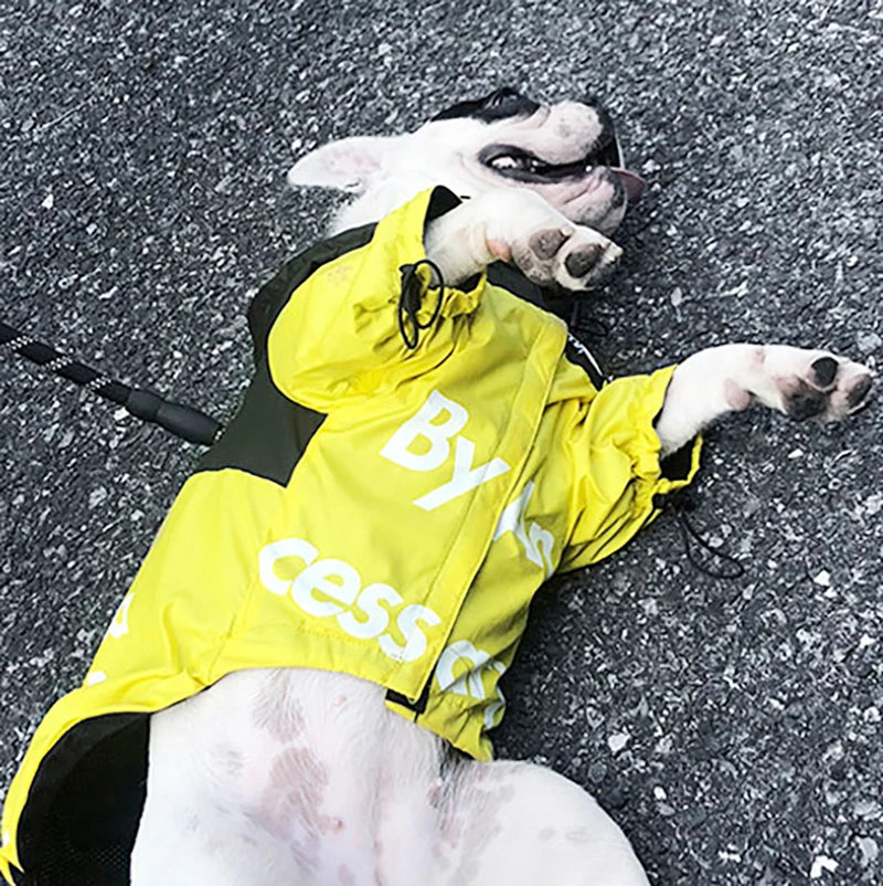 Abrigo impermeable para perros, chubasquero reflectante para perros, ropa de exterior para perros, chaqueta con capucha para perros pequeños, medianos y grandes. Suministros para mascotas.