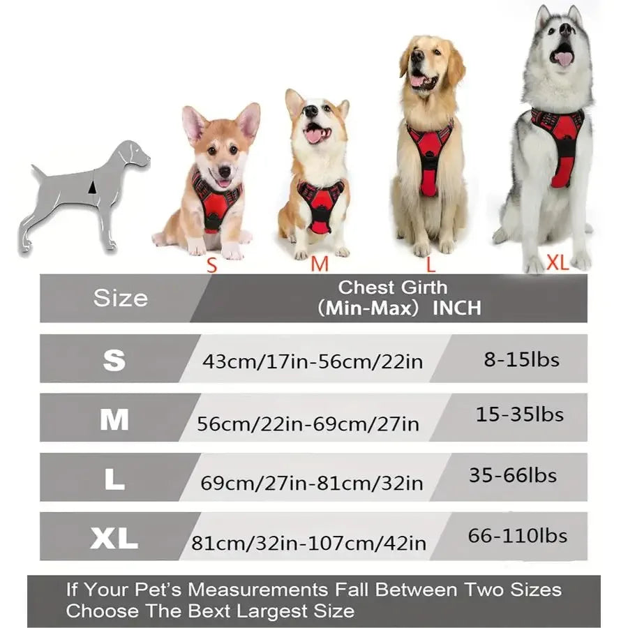 Collares, arneses, chalecos grandes, correas, tienda de mascotas, todo para perros, accesorios de cuero para cachorros, conjunto mediano y pequeño.