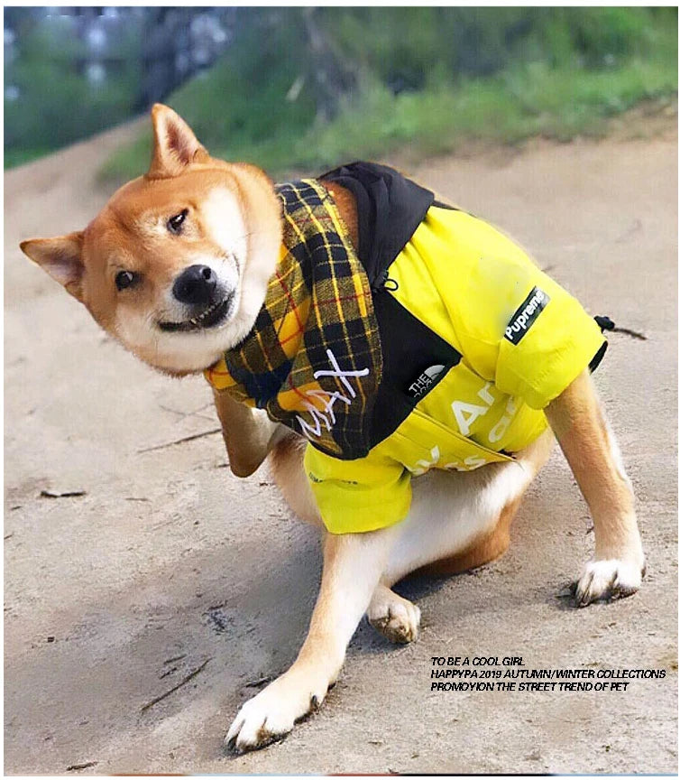 Abrigo impermeable para perros, chubasquero reflectante para perros, ropa de exterior para perros, chaqueta con capucha para perros pequeños, medianos y grandes. Suministros para mascotas.