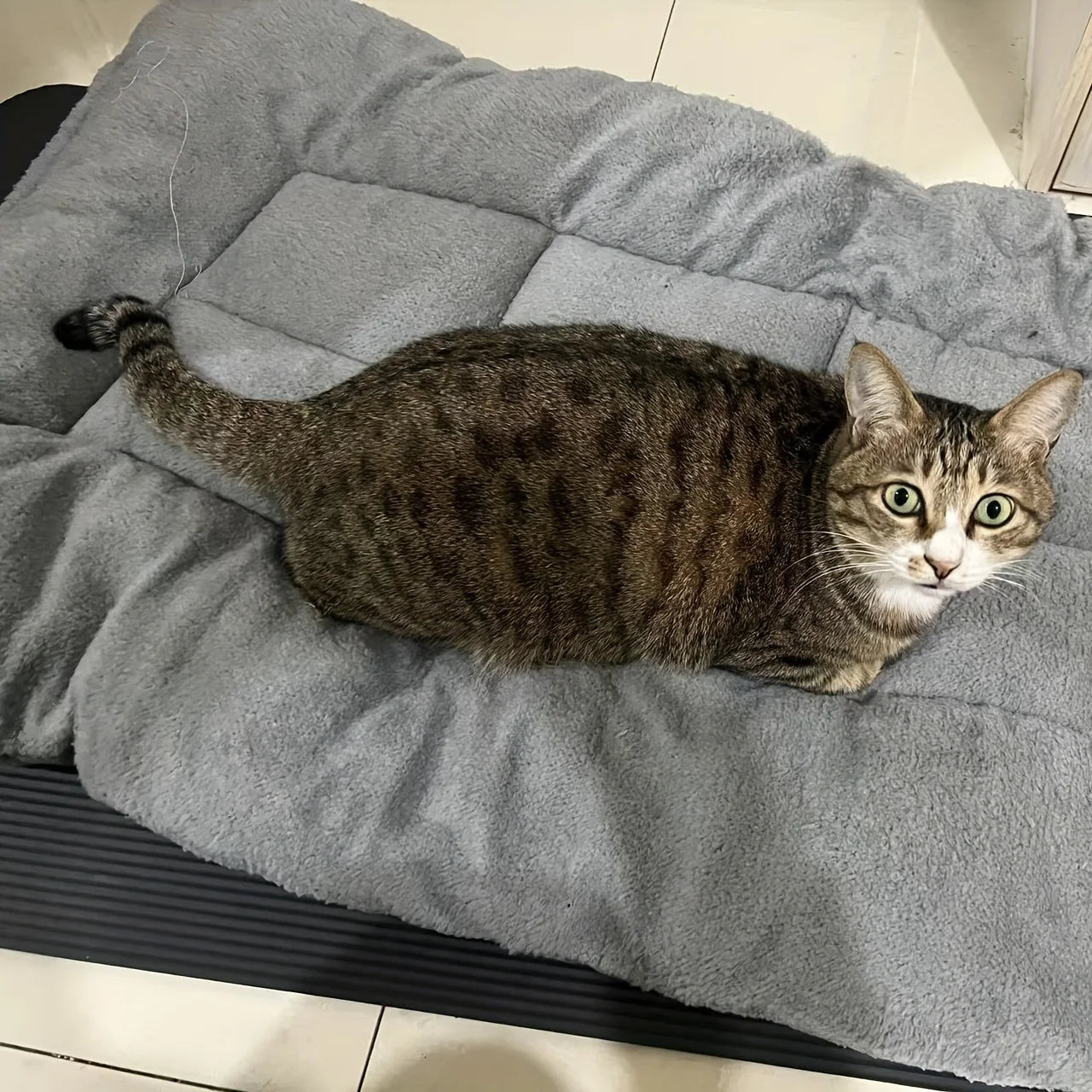 Cama de felpa extragrande para perros y gatos, sofá, colchoneta para jaula, alfombrilla de poliéster ultrasuave para mascotas de todos los tamaños, adorable sofá rectangular.