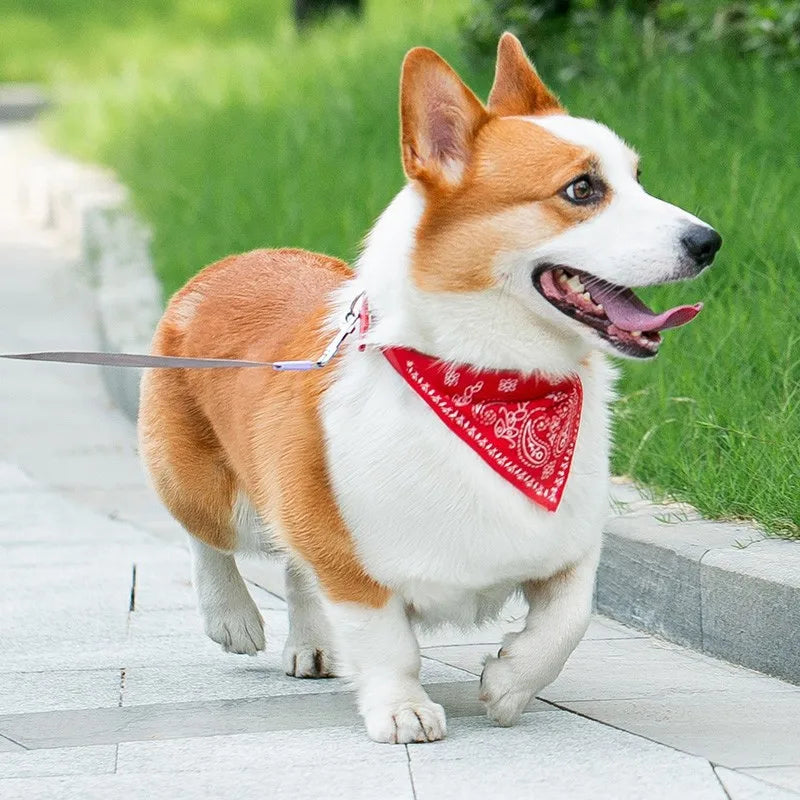 Collar PU para perros y gatos con bufanda para perros pequeños y medianos Chihuahua Corgi Cachorros Collares ajustables Suministros para mascotas accesorios para perros