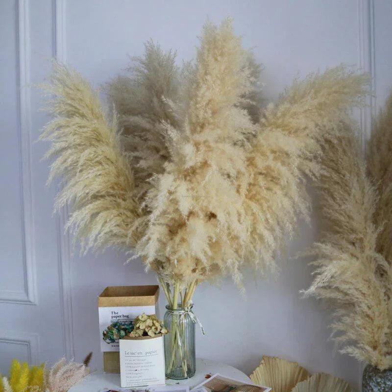 Pluma grande de 110-120 cm, hierba de la pampa seca y esponjosa, decoración de boda bohemia al por mayor, flor natural real, decoración del hogar, decoración de jardín
