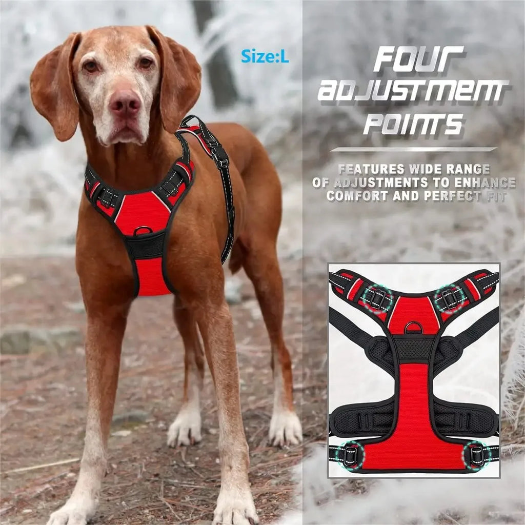 Collares, arneses, chalecos grandes, correas, tienda de mascotas, todo para perros, accesorios de cuero para cachorros, conjunto mediano y pequeño.