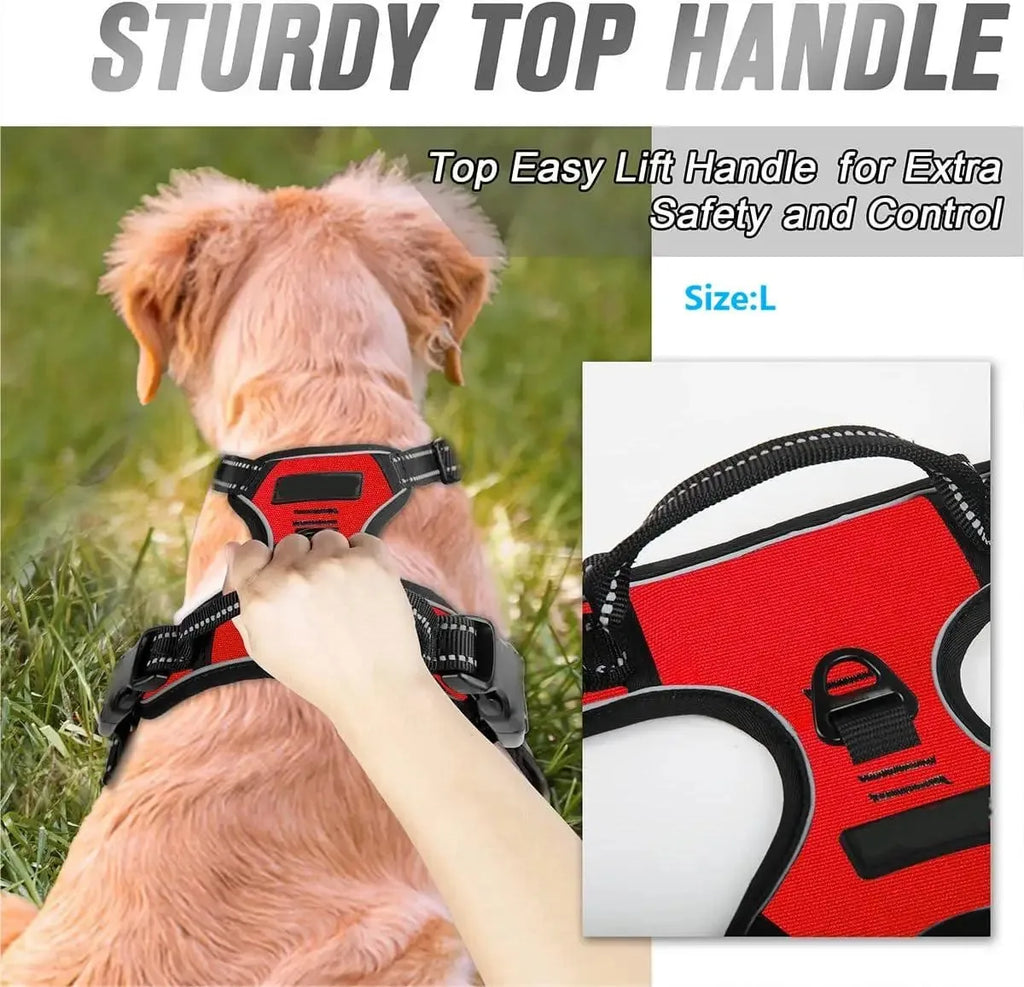 Collares, arneses, chalecos grandes, correas, tienda de mascotas, todo para perros, accesorios de cuero para cachorros, conjunto mediano y pequeño.