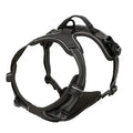 Collares, arneses, chalecos grandes, correas, tienda de mascotas, todo para perros, accesorios de cuero para cachorros, conjunto mediano y pequeño.