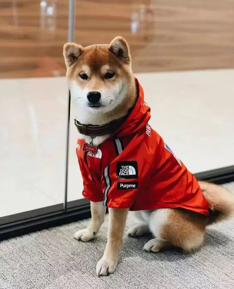 Abrigo impermeable para perros, chubasquero reflectante para perros, ropa de exterior para perros, chaqueta con capucha para perros pequeños, medianos y grandes. Suministros para mascotas.